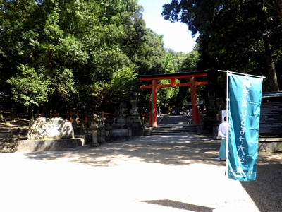 日本最古の萬葉植物園