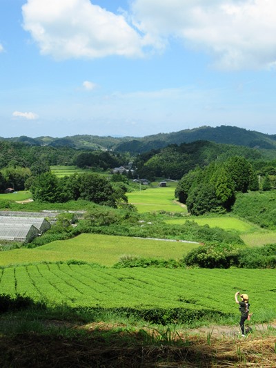 奈良の茶と里山に癒されて