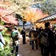 奈良のまちの歴史と紅葉散策
