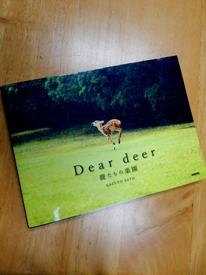 Dear deer　鹿たちの楽園_10