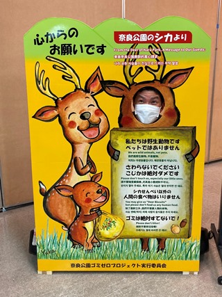 奈良公園の鹿に思いを馳せる