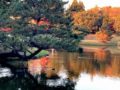 南都随一の庭園