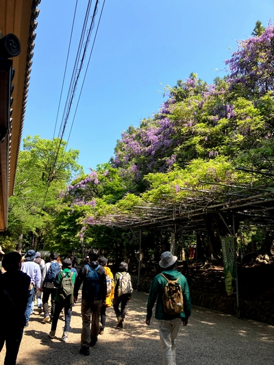 歴史をつなぐ春日山原始林