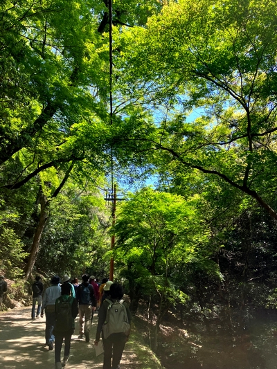 歴史をつなぐ春日山原始林