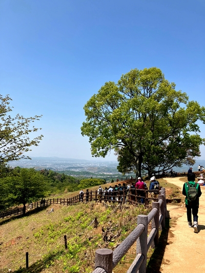 歴史をつなぐ春日山原始林