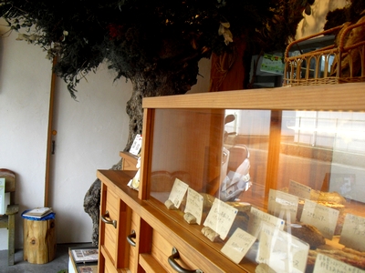 ゆっくりと発酵をすすめるパン屋さんの物語