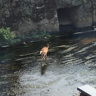 川沿いのカフェで会いましょう
