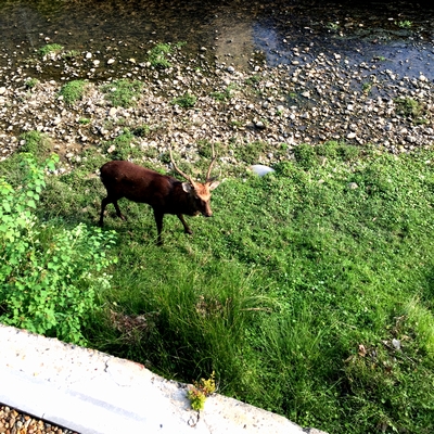 川沿いのカフェで会いましょう