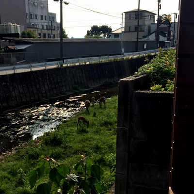 川沿いのカフェで会いましょう