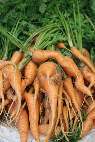 店主もお野菜も☆きらりっ☆