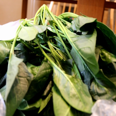 店主もお野菜も☆きらりっ☆