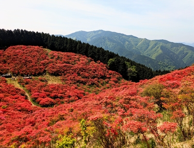 燃える男の物語