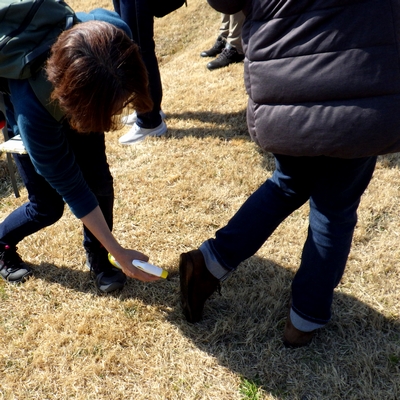野鳥観察会の魅力を体感