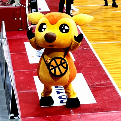 休日はバスケットボール観戦