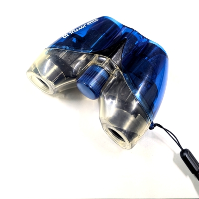 大きな池で冬鳥観察