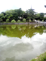 猿沢池