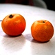幻の柑橘「大和橘」って？