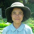 ひとまちの人 高島佐和