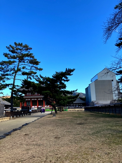 いつもの興福寺の初めて知った凄さ