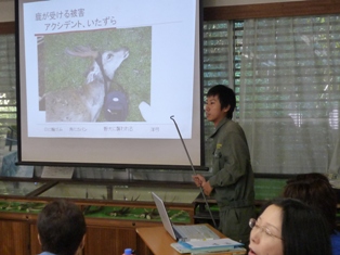 ひとまちレポート　ボクの仕事は「奈良の鹿」の授業を終えて_3