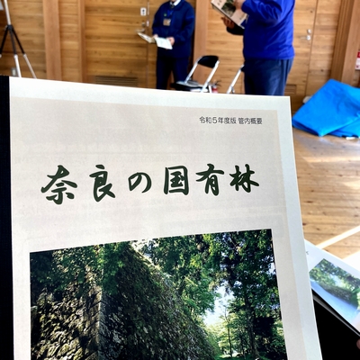 えっ！奈良市の住宅地から手が届く所に国有林