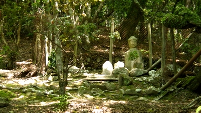 見て聞いて触って感じる春日山原始林