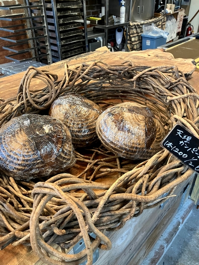 Erdalさんの授業を受けて