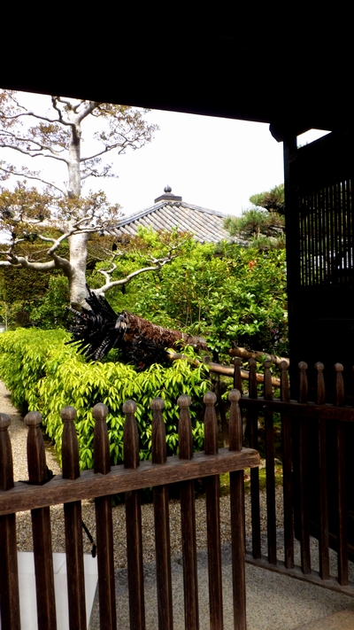 「もっと知りたい、東大寺！」に参加して感じた、1300年続く祈りの場所